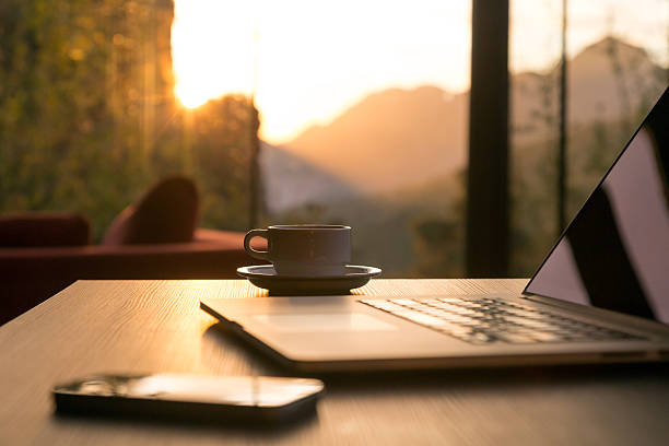 Professional Website Development